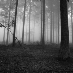 I Caught Myself (Paramore Cover)