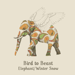 Bird to Beast - Winter Snow (radio edit)