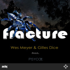 Fracture - feat. Psycat