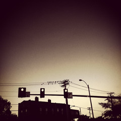 Foggy With A Side Of Acid Rain STL Legend Remix