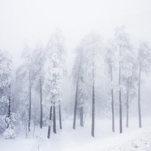 ...trees rustling in silence...