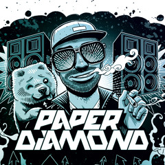 PAPER DIAMOND - 2014 Tour Mix