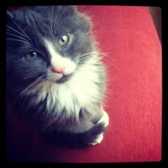 I Miss You - Yellow Mita + Menna (Full Version)