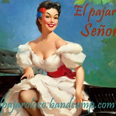 Senorita