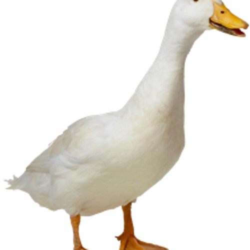 Know what I mean Vern?