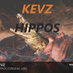 KEVZ - Hippos (Original Mix)