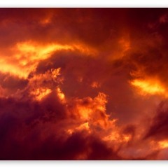 Living Life Passionately