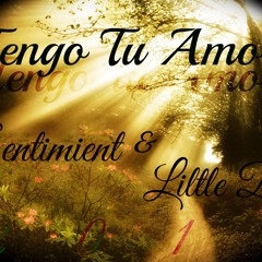 Tengo Tu Amor- Sentimient & Liltle Di ( S.T.M. STUDIOS )