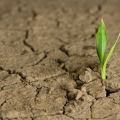 FlicFlac- Hope (No vocals)