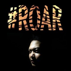 Roar Accoustic Live Cover