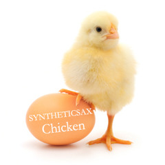 Syntheticsax - Chicken (VAN-G Remix)