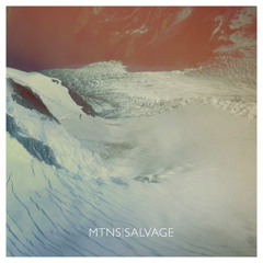 MTNS - Salvage