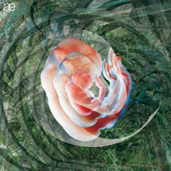 Caparazón Estrella