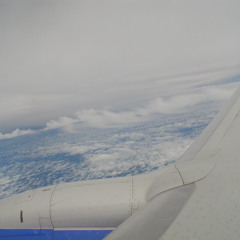 Elysian Fury - The Eliminator (Y2K)