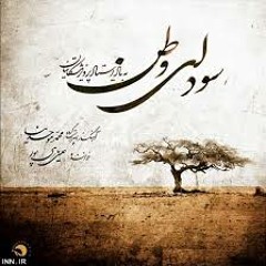 شروین مهاجر