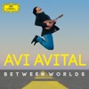 Avi Avital plays