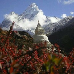 ဘိုျဖဴ-ဆန္ေရ