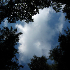 White Heaven - Paradise Contempt