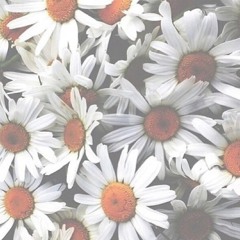 Bawalah pergi Cintaku (Cover )