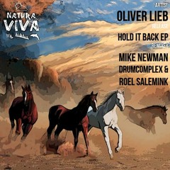 Oliver Lieb - Hold It Back - Drumcomplex & Roel Salemink - Remix - (low qualy snippet)