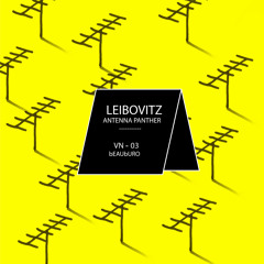 "Antenna Panther" par Leibovitz (face A)