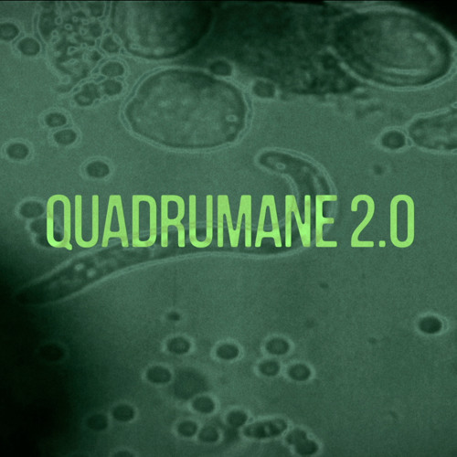 Quadumane 2.0 - Monkey Theorem & Tactical Groove Orbit