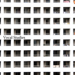 Vocal Studies / V.A. (Original Mix) (Sampler)
