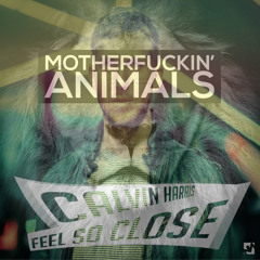 Hardwell vs Calvin Harris - Feel so Close to Animals (Cesc Mashup)