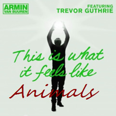 This is what it feels like animals - Armin Van Buuren Vs. Martin Garrix ( Hannes Mushup )