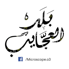 Microscope - " Bld El-3gayb | بلد العجّايب  "
