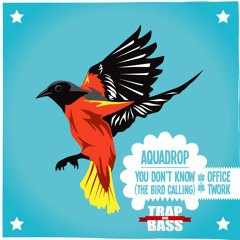 Aquadrop - You Don't Know (The Bird Calling) (Teaser) [Out NOW]