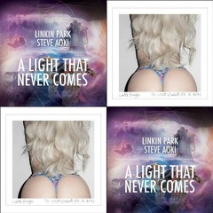 Steve Aoki vs Lady Gaga ft R Kelly - A light that u want (Bastard Bob mashup)