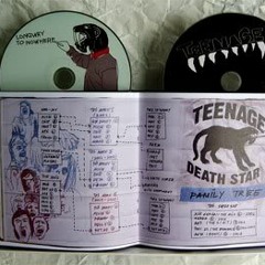 Teenage Death Star - Absolute Beginner Terror