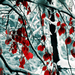 Aiva - He Said ft 4i (Raze Remix)