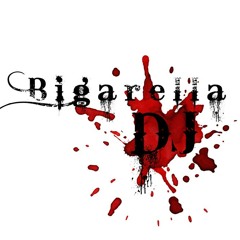 Ben Callahan Ego (BigarellaDj Remix)