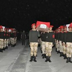 داليا