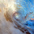 Artwork for Smoke Serpent remix of " Timestretch " by Bassnectar