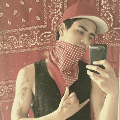 Rotavegas Doglife Ft. Wayne WDP