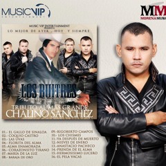 LOS BUITRES DE CULIACAN MIX DJ LUNNY