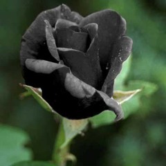 Cahit Oben - Ruhun en içini dinlendirir.