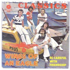 Wings of an Eagle
