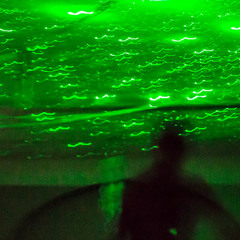 Back To The Basement (2013)