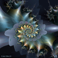 Savoy cabbage - PG mix