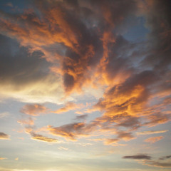 "Skyfall" - Adele Cover