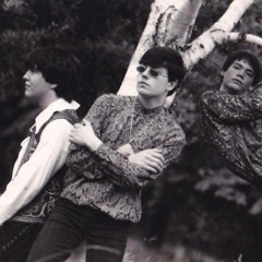 The Intriligator(Morey - Hobart - Pugh)