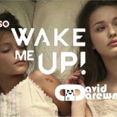 Avicii & Fun We Are Young David Darewn MASHUP