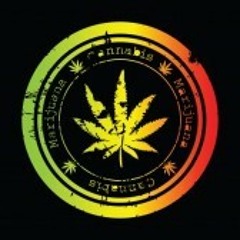 [ Reggae / Rap ]