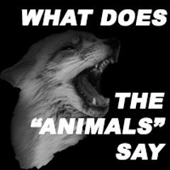 WHAT DOES THE ANIMALS SAY? - LINCOLN