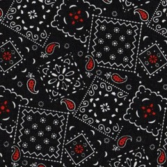 Big Chriz ft. A' Savage - The Truth Lies Behind You