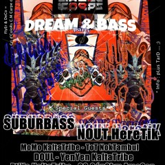 SuBuRbASs Live @ Dream & Bass with Kaltatribe Near Nancy.France 12.01.2013
